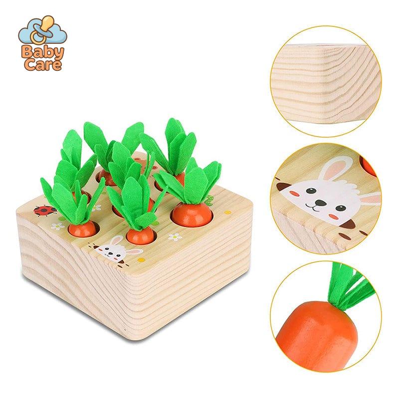 Jouets carottes Montessori en bois - zoom sur la matière