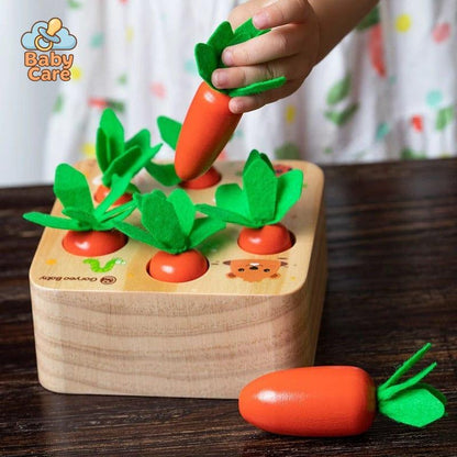 Jouets carottes Montessori en bois - détail du produit