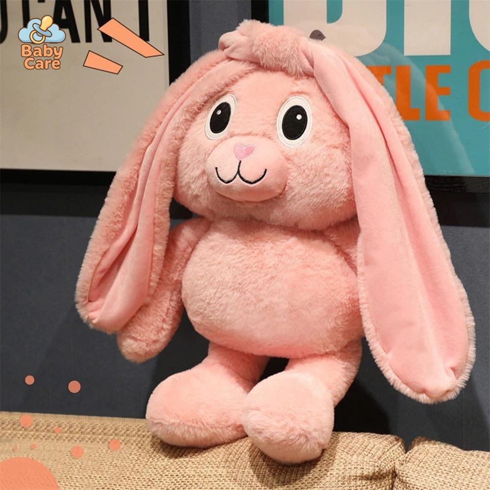 Coco le lapin aux grandes oreilles - zoom sur la matière